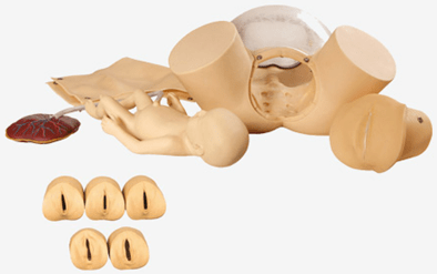 高級分娩綜合技能訓練模型